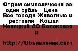 Отдам символически за один рубль › Цена ­ 1 - Все города Животные и растения » Кошки   . Ненецкий АО,Волоковая д.
